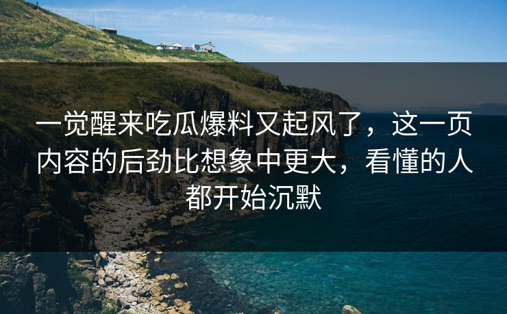 一觉醒来吃瓜爆料又起风了，这一页内容的后劲比想象中更大，看懂的人都开始沉默